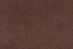 Ткань для перетяжки мебели Duo-2208