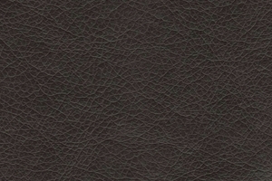 Ткань для перетяжки мебели Stainless 3050
