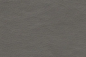 Ткань для перетяжки мебели Stainless 646